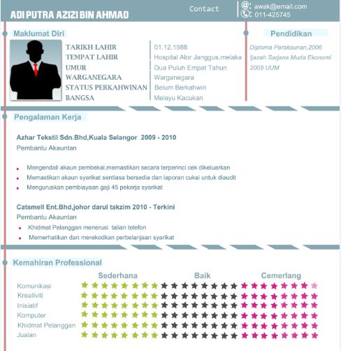 Contoh Resume Akauntan